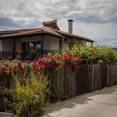 Villa Beni - 4 Bedroom Private House By Flаt Manаger Lozenets Εξωτερικό φωτογραφία